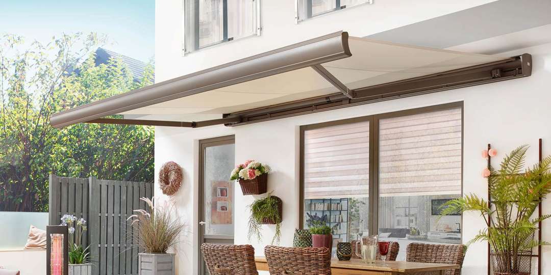 Marikse als Sonnenschutz über der Terrasse